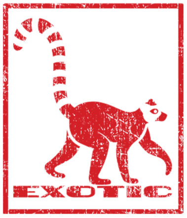 EXOTIC BLANK APPAREL